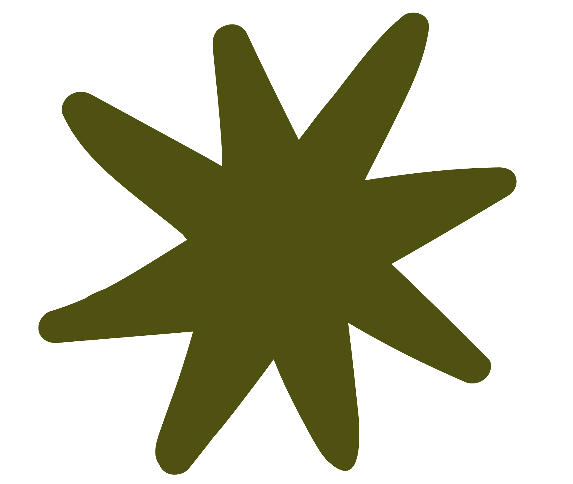 Naturaleza y creatividad en Los Cabos