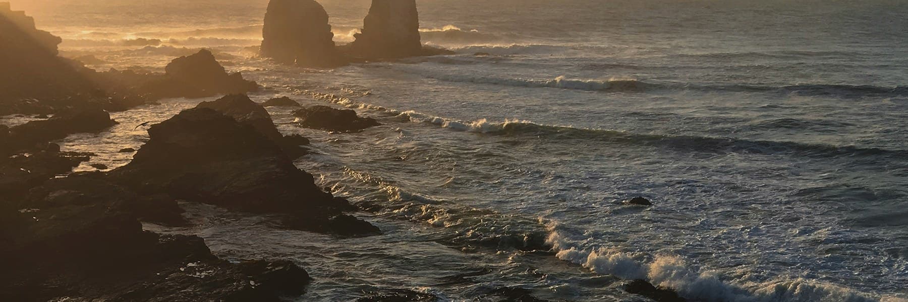 Sede del festival en San José del Cabo