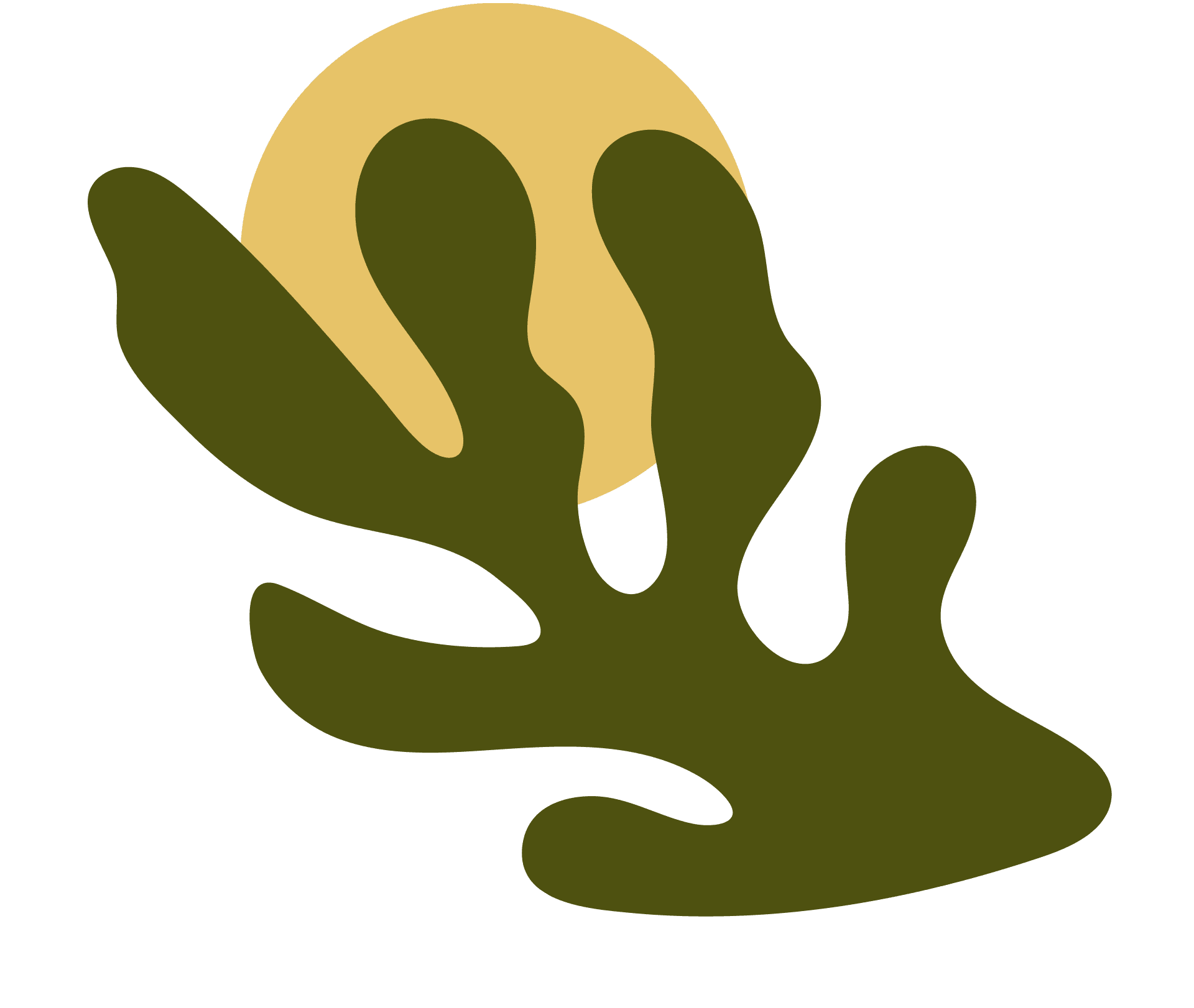 Fondo Fílmico Gabriel Figueroa