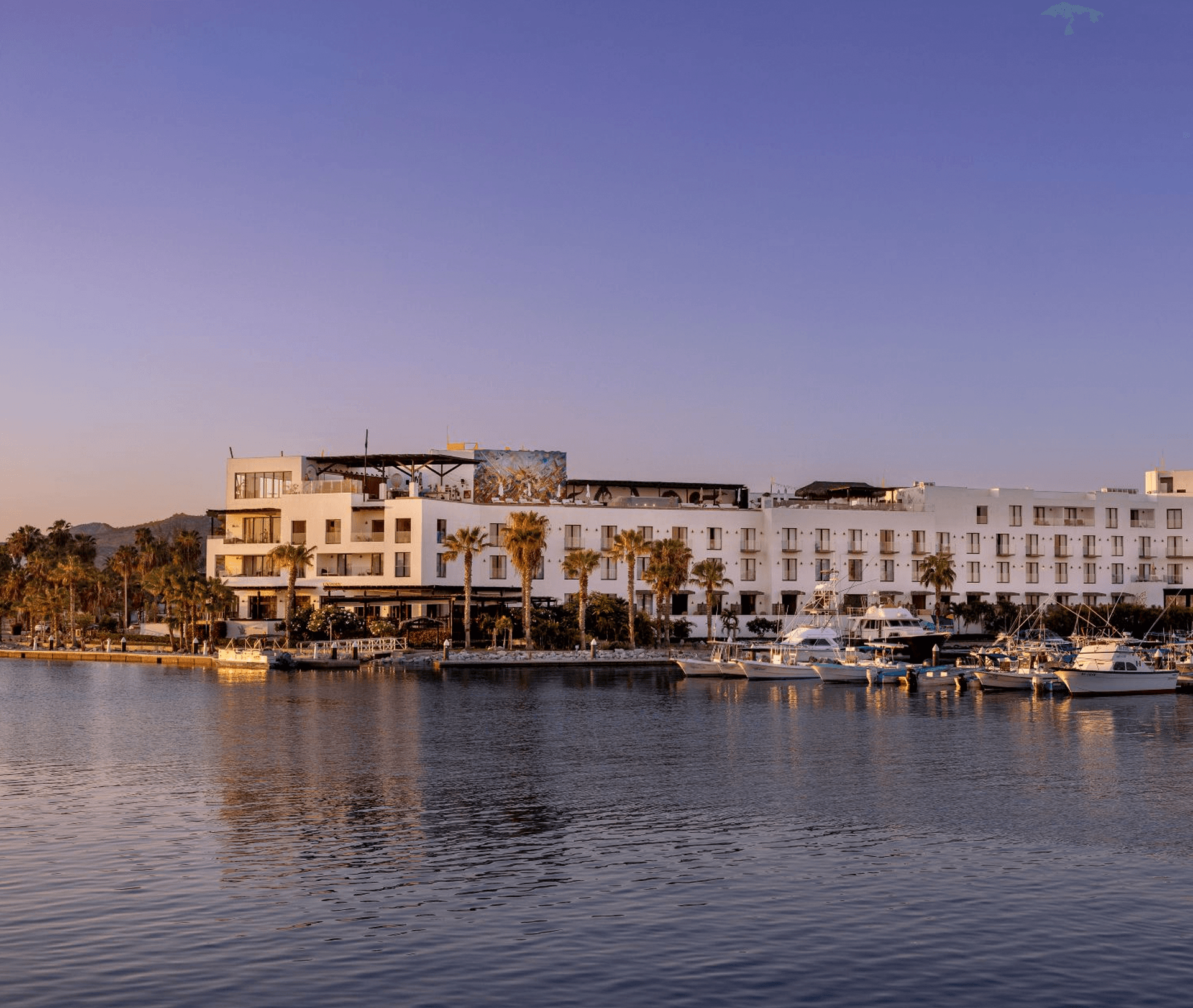 Arte en el Hotel El Ganzo