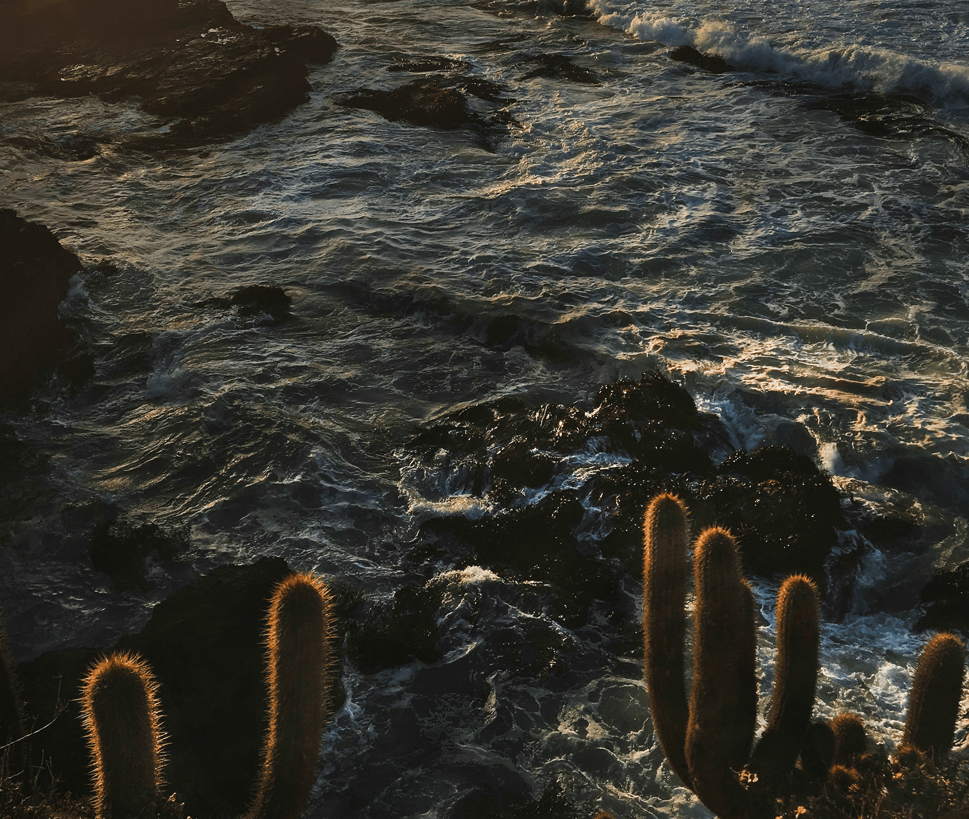Vista de la marina de Puerto Los Cabos