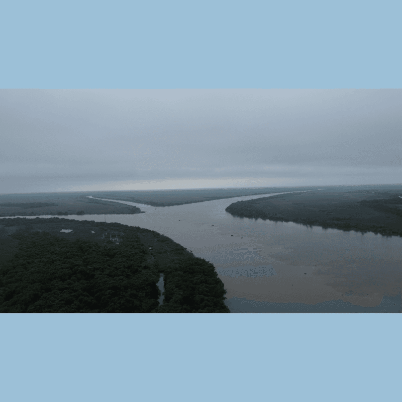 Conferencia: La Conexión Creativa Por Luisa Reyes Retana