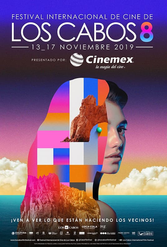 Póster de la The Irishman